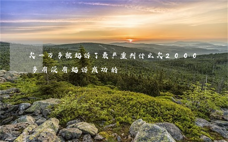 欠一万多被起诉了最严重判什么(欠2000多有没有起诉成功的)