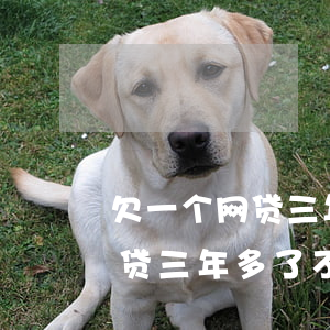 欠一个网贷三年多了不找我催债-欠一个网贷三年多了不找我催债怎么办