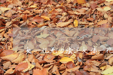 欠一亿无力偿还(欠债一亿还不起会怎样)
