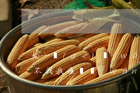 欠一個(gè)網(wǎng)貸三年多了不找我催債(網(wǎng)貸不還一年了也沒人催了)