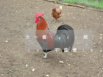 欠一個(gè)網(wǎng)貸三萬(wàn)不還會(huì)不會(huì)被起訴(欠一個(gè)網(wǎng)貸三萬(wàn)不還會(huì)不會(huì)被起訴)