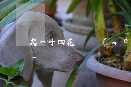 欠一千四花唄還沒(méi)還還能借多少-