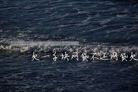 欠一千块网贷不还(网贷欠了一万元怎么办)