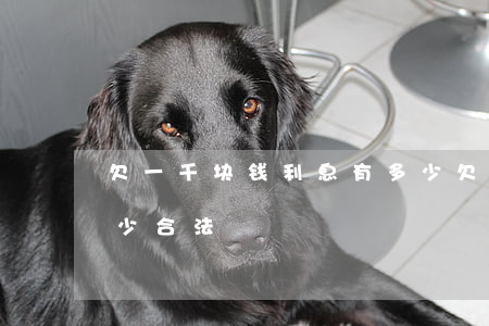 欠一千块钱利息有多少(欠一千块钱利息有多少合法)
