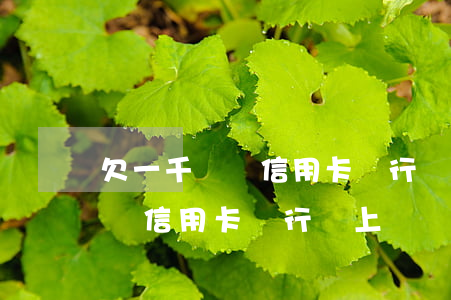 欠一千塊錢信用卡銀行會上門嗎-欠一千塊錢信用卡銀行會上門嗎知乎