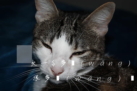欠一千多網(wǎng)貸影響政審嗎(欠了很多網(wǎng)貸影響政審嗎)