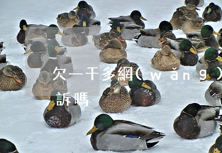 欠一千多網(wǎng)貸會(huì)起訴嗎