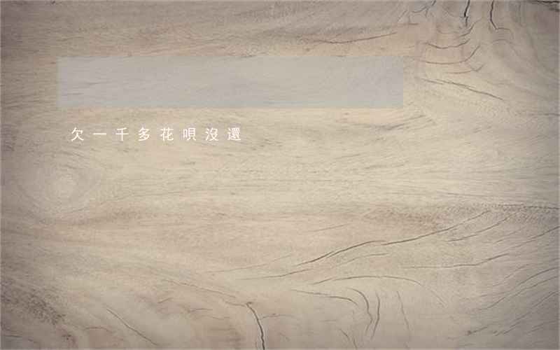 欠一千多花唄沒還