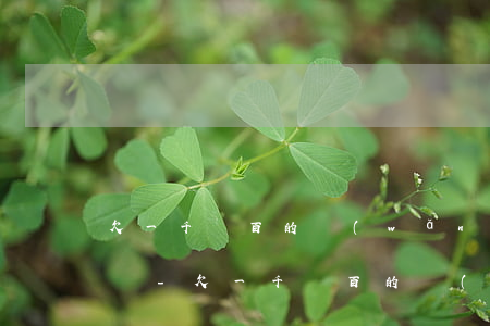 欠一千幾百的網(wǎng)貸不還會怎么樣-欠一千幾百的網(wǎng)貸不還會怎么樣嗎