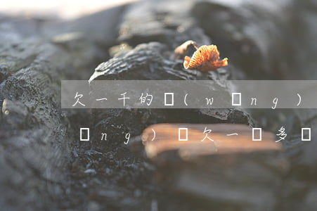 欠一千的網(wǎng)貸會起訴嗎(網(wǎng)貸欠一萬多會被起訴嗎)