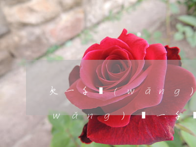 欠一千網(wǎng)貸不還可以嗎(欠網(wǎng)貸一千塊錢不還怎么辦)