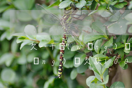 欠一千網(wǎng)貸會不會上門(網(wǎng)貸欠款1000元會上門嗎)