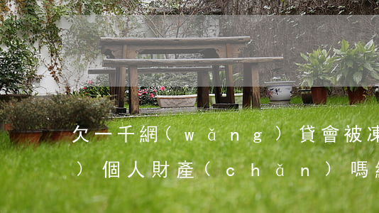 欠一千網(wǎng)貸會被凍結(jié)個人財產(chǎn)嗎(網(wǎng)貸逾期什么情況下會凍結(jié)我個人財產(chǎn))