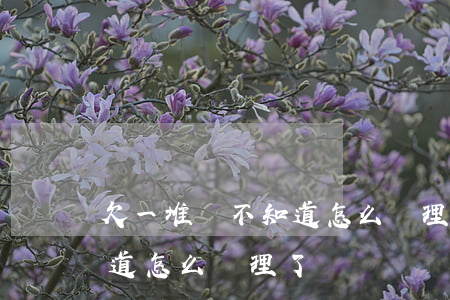欠一堆債不知道怎么處理了-欠一堆債不知道怎么處理了