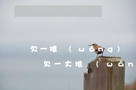 欠一堆網(wǎng)貸不想家里知道怎么辦(欠一大堆網(wǎng)貸如何處理)