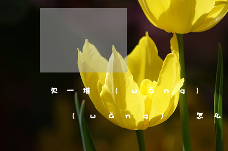 欠一堆網(wǎng)貸怎么償還(欠了很多網(wǎng)貸怎么還)