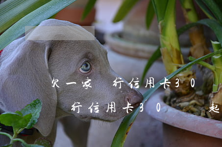 欠一家銀行信用卡30萬會起訴嘛-欠一家銀行信用卡30萬會起訴嘛知乎