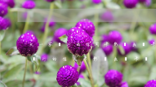 欠一家銀行的信用卡影響去開卡嗎-欠一家銀行的信用卡影響去開卡嗎