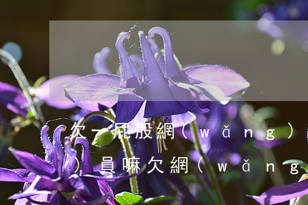 欠一屁股網(wǎng)貸能考公務(wù)員嘛(欠網(wǎng)貸會(huì)影響考公務(wù)員嗎)