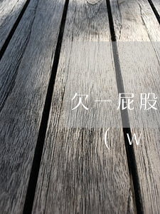 欠一屁股網(wǎng)貸還不上(為什么欠網(wǎng)貸一直還不清)