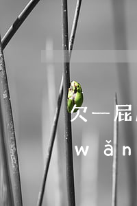 欠一屁股網(wǎng)貸還不起了(欠網(wǎng)貸就不還)