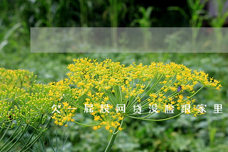 欠一屁股网贷没脸跟家里人说了-