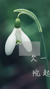 欠一干可以法院起訴嗎(欠款1000多去法院起訴有沒有用)