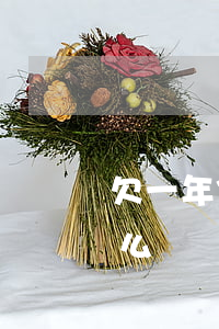 欠一年信用卡沒還了(欠一年信用卡沒還了怎么辦)
