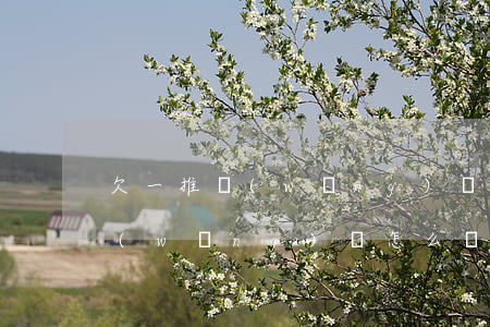欠一推網(wǎng)貸該怎么辦(欠一萬網(wǎng)貸怎么辦)