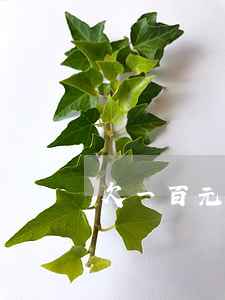 欠一百元信用卡一年不還(信用卡欠兩千一年沒還)