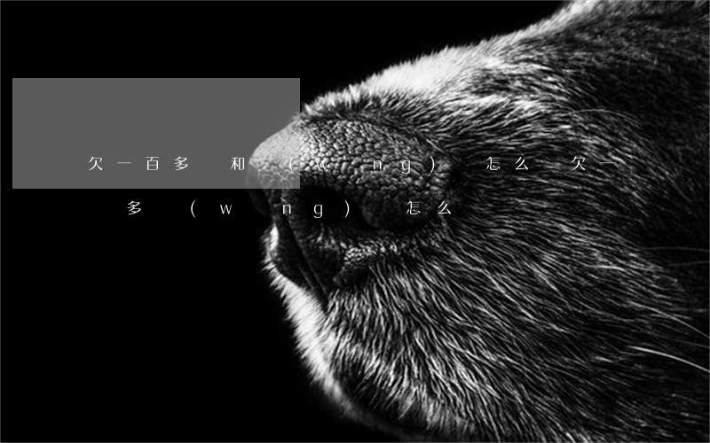 欠一百多萬和網(wǎng)貸怎么還(欠一萬多網(wǎng)貸,怎么還)