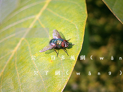 欠一百多萬網(wǎng)貸還不上怎么辦(欠了網(wǎng)貸幾千塊還不上怎么辦)