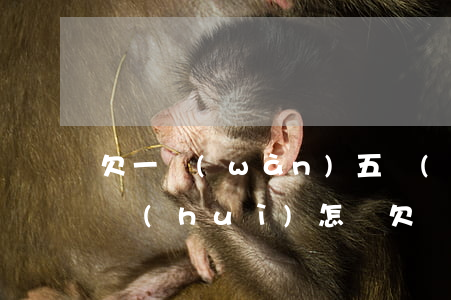 欠一萬(wàn)五網(wǎng)貸不還會(huì)怎樣(欠網(wǎng)貸五百一直不還會(huì)咋樣)