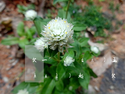 欠一萬(wàn)五網(wǎng)貸會(huì)起訴嗎(欠網(wǎng)貸一千五會(huì)被起訴嗎)