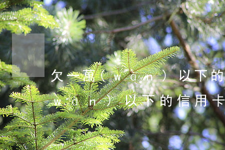 欠一萬(wàn)以下的信用卡-欠一萬(wàn)以下的信用卡能用嗎