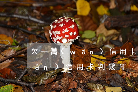 欠一萬(wàn)信用卡判幾年（欠一萬(wàn)信用卡判幾年）