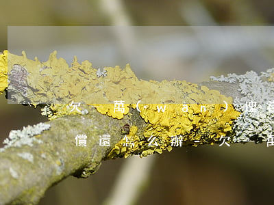 欠一萬(wàn)塊錢被告了無(wú)力償還怎么辦-欠一萬(wàn)塊錢被告了無(wú)力償還怎么辦呢