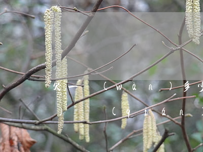 欠一萬(wàn)多少利息(欠一萬(wàn)塊錢(qián)利息是多少)