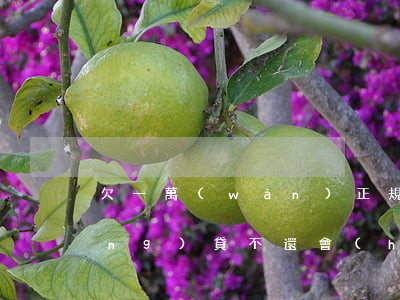欠一萬(wàn)正規(guī)網(wǎng)貸不還會(huì)怎樣(網(wǎng)貸欠了一萬(wàn)不還會(huì)怎么樣)