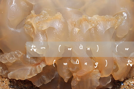 欠一萬(wàn)網(wǎng)貸還起訴嗎(網(wǎng)貸欠1萬(wàn)塊錢夠起訴嗎)