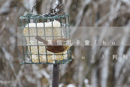 欠一萬信用卡會(huì)判刑嗎(欠一萬信用卡會(huì)判刑嗎)