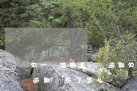 欠一萬信用卡沒還逾期(欠信用卡幾十萬全部逾期還不了怎么辦)