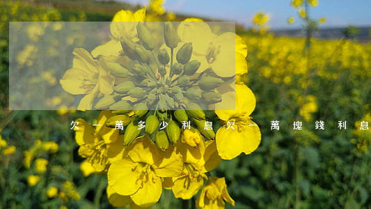 欠一萬多少利息(欠一萬塊錢利息是多少)