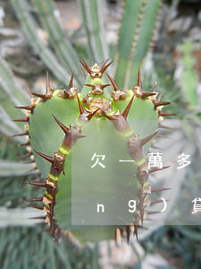 欠一萬多網(wǎng)貸不還(欠網(wǎng)貸一千多不還會怎樣)