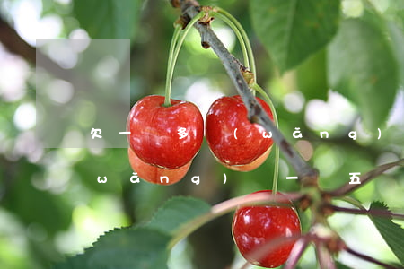 欠一萬多網(wǎng)貸屬于詐騙嗎(網(wǎng)貸一萬五還不上,算詐騙嗎)