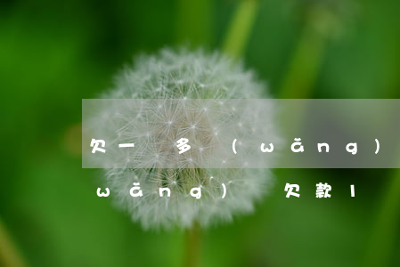 欠一萬多網(wǎng)貸沒能力還了(網(wǎng)貸欠款1萬還不上會怎么辦)