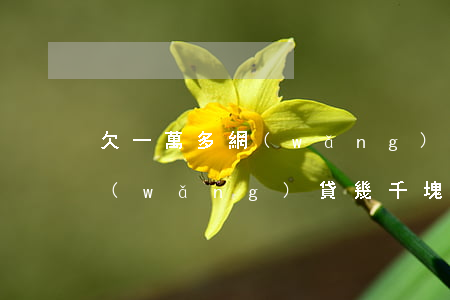 欠一萬多網(wǎng)貸還不上了(欠了網(wǎng)貸幾千塊還不上怎么辦)
