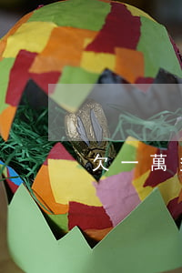欠一萬多網貸沒錢還怎么辦