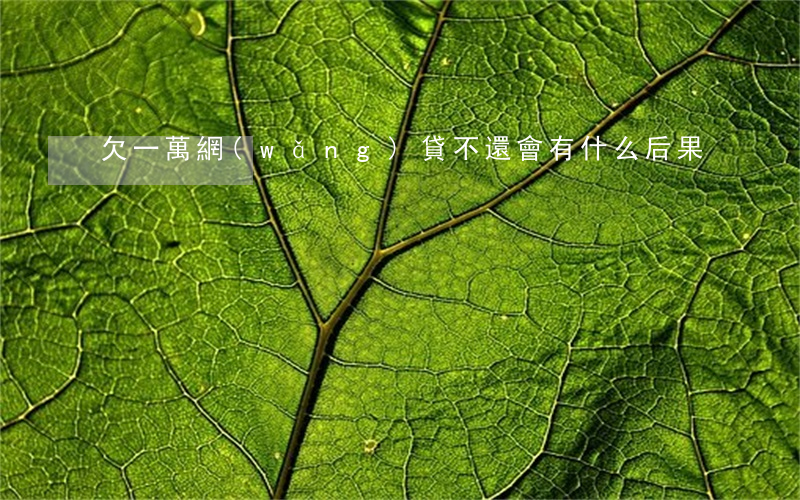 欠一萬網(wǎng)貸不還會有什么后果