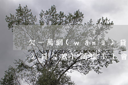 欠一萬網(wǎng)貸不還(網(wǎng)貸欠款1萬還不上會(huì)怎么辦)